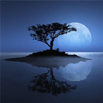 星空体育安卓app下载截图