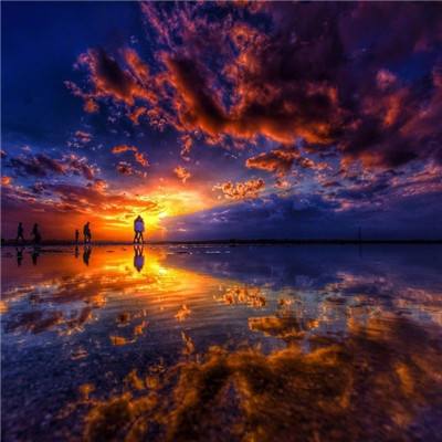 乐动体育app官网入口