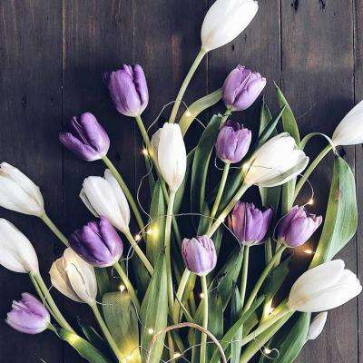 游戏棋牌平台截图