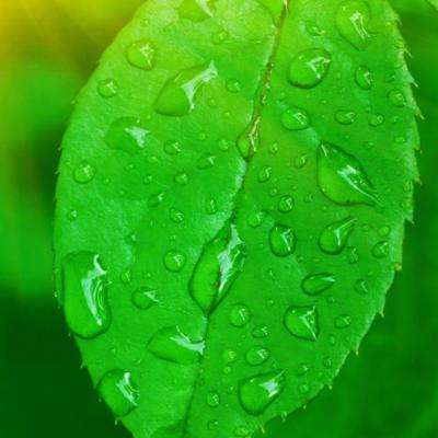 双赢彩票手机app下载